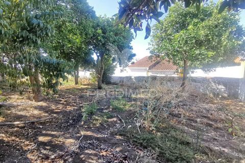 Byhus i Golega, Santarem, Golega - € 420.000 | Ref: 053496 - foto 9