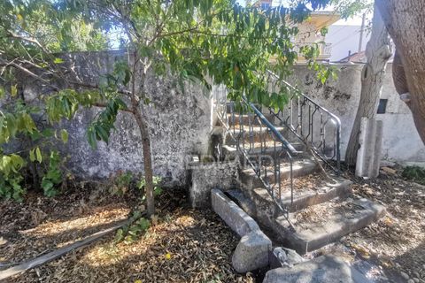 Byhus i Golega, Santarem, Golega - € 420.000 | Ref: 053496 - foto 10