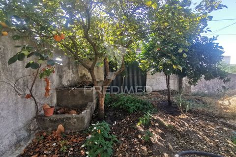 Byhus i Golega, Santarem, Golega - € 420.000 | Ref: 053496 - foto 12