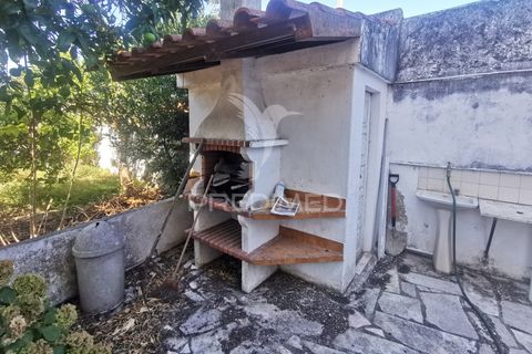 Byhus i Golega, Santarem, Golega - € 420.000 | Ref: 053496 - foto 13
