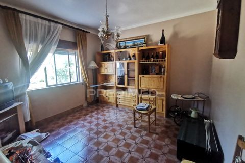 Byhus i Golega, Santarem, Golega - € 420.000 | Ref: 053496 - foto 17