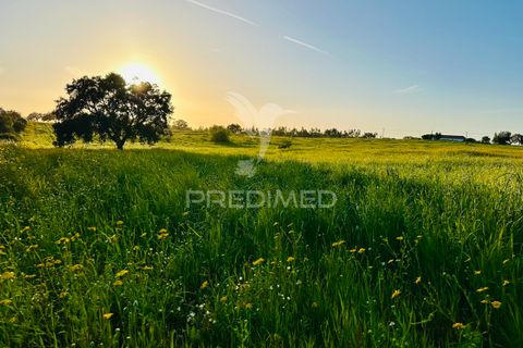 Byhus i Odemira, Beja, Odemira - € 320.000 | Ref: 053533 - foto 17