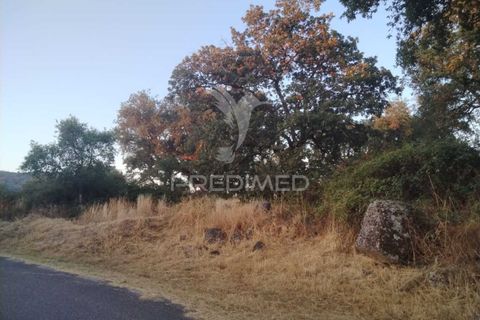 Terra a Castelo de Vide, Portalegre, Castelo de Vide - € 50.000 | Ref: 053543 - foto 3