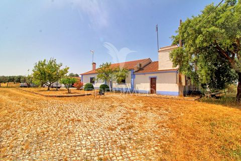 Farm hus i Mora, Evora, Mora - € 780.000 | Ref: 053685 - foto 16