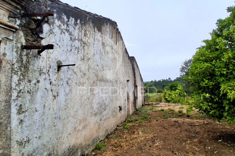 Byhus i Macao, Santarem, Macao - € 95.000 | Ref: 053850 - foto 15