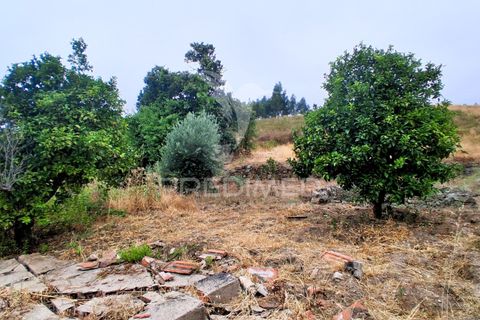 Byhus i Macao, Santarem, Macao - € 95.000 | Ref: 053850 - foto 17