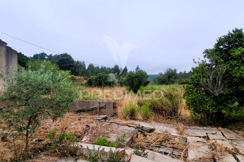 Byhus i Macao, Santarem, Macao - € 95.000 | Ref: 053850 - foto 18