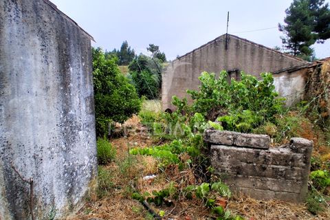 Byhus i Macao, Santarem, Macao - € 95.000 | Ref: 053850 - foto 22