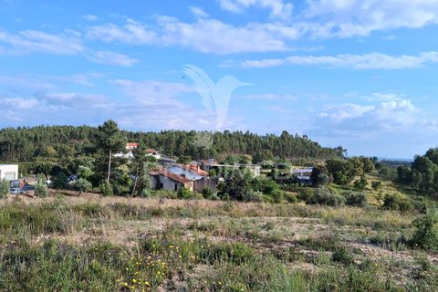 Byhus i Macao, Santarem, Macao - € 95.000 | Ref: 053850 - foto 26