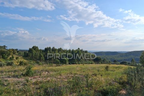 Byhus i Macao, Santarem, Macao - € 95.000 | Ref: 053850 - foto 27