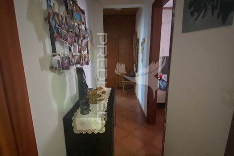 Byhus i Velas, Sao Jorge, Velas - € 220.000 | Ref: 053879 - foto 7