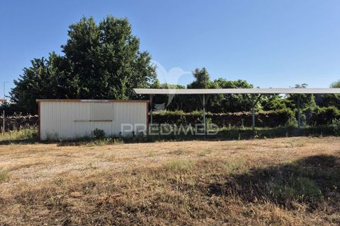 Helårsgrund i Borba, Evora, Borba - € 360.000 | Ref: 053901 - foto 5