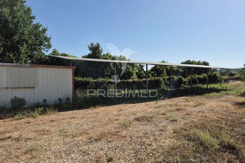 Helårsgrund i Borba, Evora, Borba - € 360.000 | Ref: 053901 - foto 6
