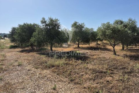 Helårsgrund i Borba, Evora, Borba - € 360.000 | Ref: 053901 - foto 7