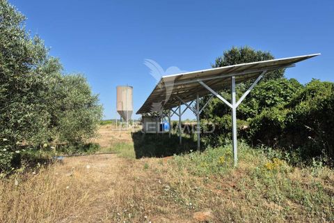 Helårsgrund i Borba, Evora, Borba - € 360.000 | Ref: 053901 - foto 8