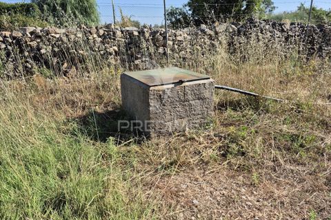Helårsgrund i Borba, Evora, Borba - € 360.000 | Ref: 053901 - foto 9
