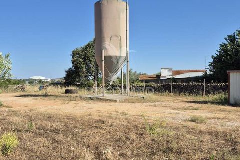 Helårsgrund i Borba, Evora, Borba - € 360.000 | Ref: 053901 - foto 12