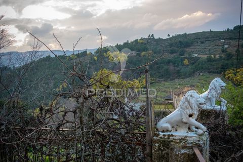 Ruinere i Tabuaco, Viseu, Tabuaco - € 110.000 | Ref: 053917 - foto 9