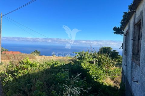 Byhus i Calheta, Madeira, Calheta - € 225.000 | Ref: 053930 - foto 3