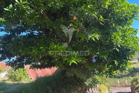 Byhus i Calheta, Madeira, Calheta - € 225.000 | Ref: 053930 - foto 10