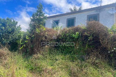 Byhus i Calheta, Madeira, Calheta - € 325.000 | Ref: 053933 - foto 1