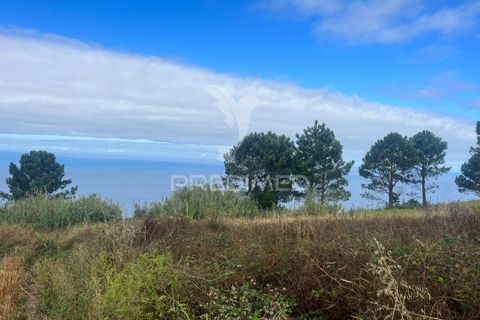 Byhus i Calheta, Madeira, Calheta - € 325.000 | Ref: 053933 - foto 2