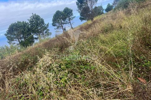 Byhus i Calheta, Madeira, Calheta - € 325.000 | Ref: 053933 - foto 3