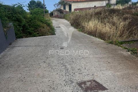 Byhus i Calheta, Madeira, Calheta - € 325.000 | Ref: 053933 - foto 5