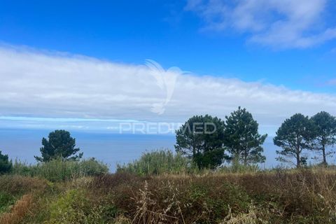 Byhus i Calheta, Madeira, Calheta - € 325.000 | Ref: 053933 - foto 8