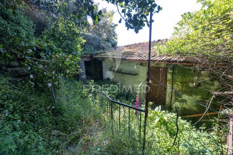 Byhus i Amares, Braga, Amares - € 99.000 | Ref: 054329 - foto 1