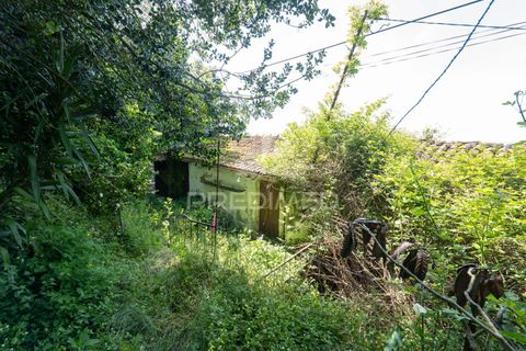 Byhus i Amares, Braga, Amares - € 99.000 | Ref: 054329 - foto 8