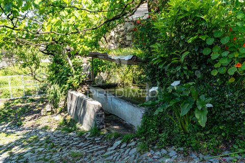 Byhus i Amares, Braga, Amares - € 99.000 | Ref: 054329 - foto 12
