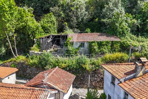 Byhus i Amares, Braga, Amares - € 99.000 | Ref: 054329 - foto 16