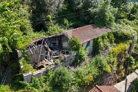 Byhus i Amares, Braga, Amares - € 99.000 | Ref: 054329 - foto 18