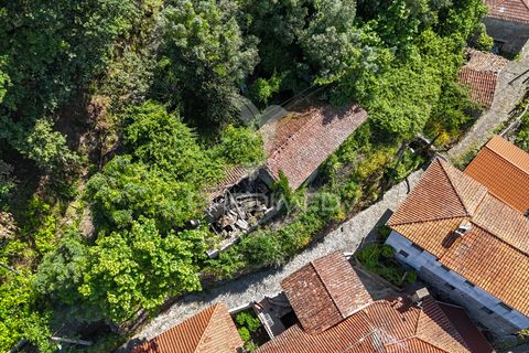 Byhus i Amares, Braga, Amares - € 99.000 | Ref: 054329 - foto 22