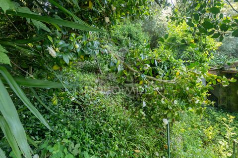 Byhus i Amares, Braga, Amares - € 99.000 | Ref: 054329 - foto 24