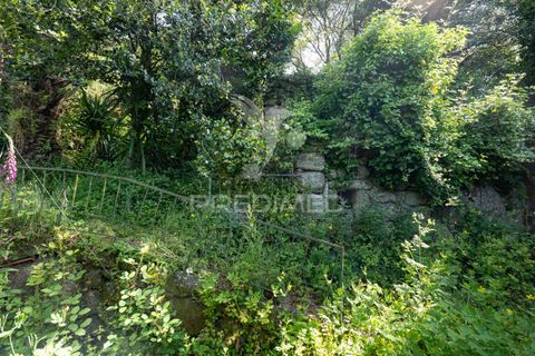 Byhus i Amares, Braga, Amares - € 99.000 | Ref: 054329 - foto 25
