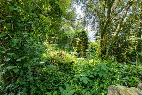 Byhus i Amares, Braga, Amares - € 99.000 | Ref: 054329 - foto 27