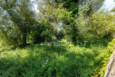 Byhus i Amares, Braga, Amares - € 99.000 | Ref: 054329 - foto 28
