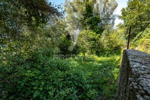 Byhus i Amares, Braga, Amares - € 99.000 | Ref: 054329 - foto 29