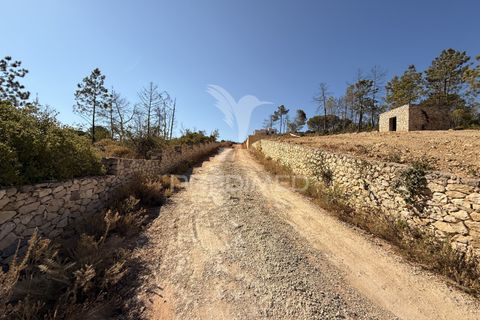 Helårsgrund i Albufeira, Faro, Albufeira - € 420.000 | Ref: 054670 - foto 13