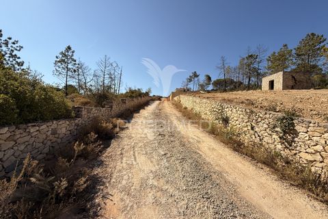 Helårsgrund i Albufeira, Faro, Albufeira - € 420.000 | Ref: 054670 - foto 16
