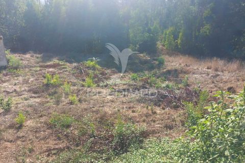 Ruinere i Barcelos, Braga, Barcelos - € 55.000 | Ref: 054764 - foto 5