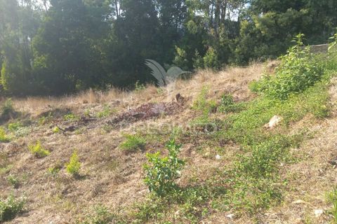 Ruinere i Barcelos, Braga, Barcelos - € 55.000 | Ref: 054764 - foto 6