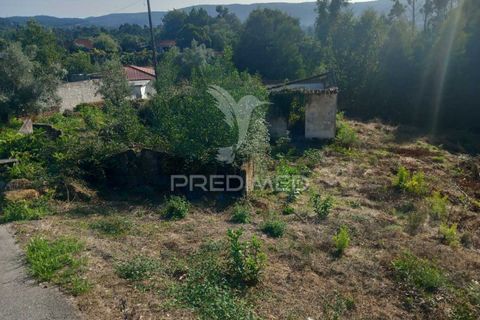 Ruinere i Barcelos, Braga, Barcelos - € 55.000 | Ref: 054764 - foto 7