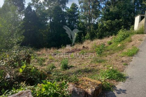 Ruinere i Barcelos, Braga, Barcelos - € 55.000 | Ref: 054764 - foto 9