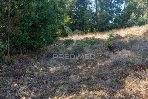 Ruinere i Barcelos, Braga, Barcelos - € 55.000 | Ref: 054764 - foto 14