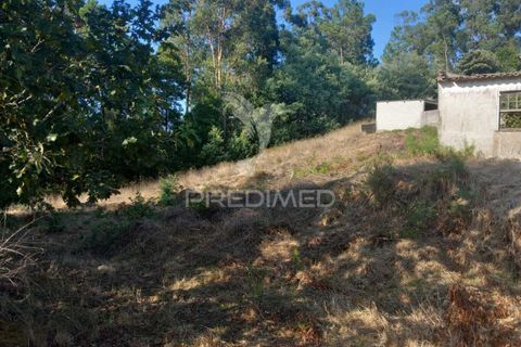 Ruinere i Barcelos, Braga, Barcelos - € 55.000 | Ref: 054764 - foto 16