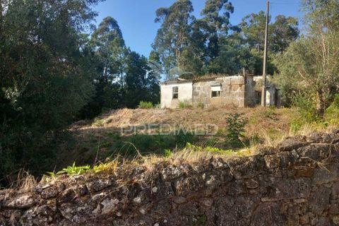 Ruinere i Barcelos, Braga, Barcelos - € 55.000 | Ref: 054764 - foto 18