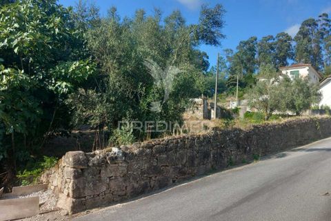 Ruinere i Barcelos, Braga, Barcelos - € 55.000 | Ref: 054764 - foto 19